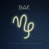 Kép 1/2 - Zodiac NEON - Bak