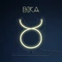 Kép 1/2 - Zodiac NEON - Bika